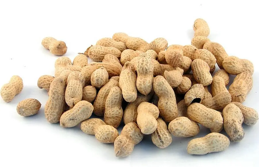 Can't you touch peanuts to lose weight?