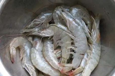 Correct way to cooking shrimp fresh and no smell 