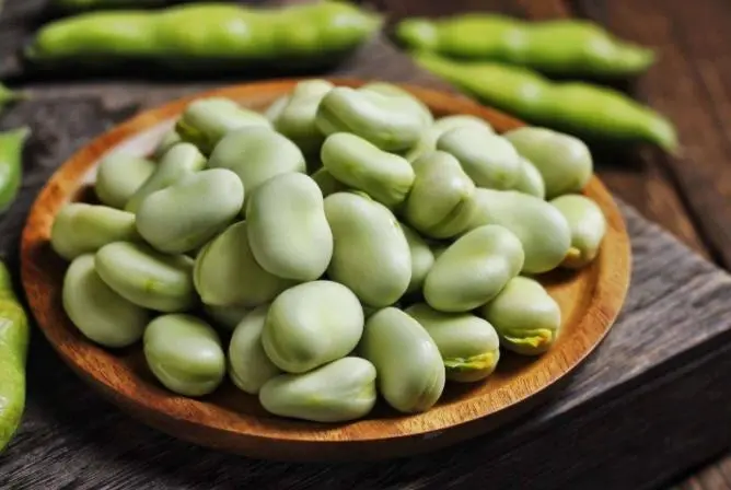Broad bean is a kind of vegetable soup that many people like