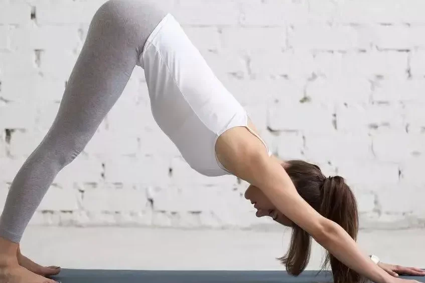 If your four-poster and Upward Dog are "correct," then you should naturally get to the right place in Downward Dog as well