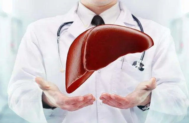 The best food for liver protection which are often eaten at ordinary times