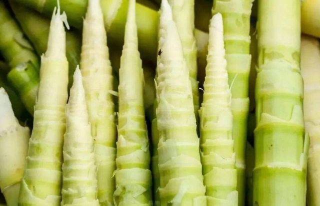 What are the health benefits of eating bamboo shoots