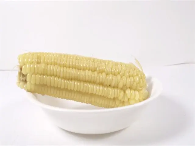  Best tips of making corn kernels sweet and delicious 