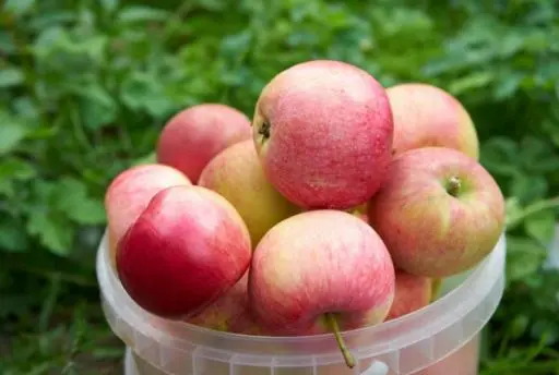The best time of eating apple and  benefits of eating an apple a day