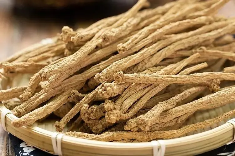 Pay attention to these points when drinking astragalus water