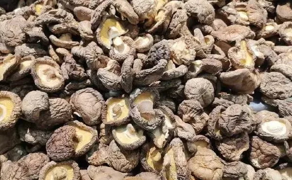 Is it better to buy shiitake mushrooms dry or wet