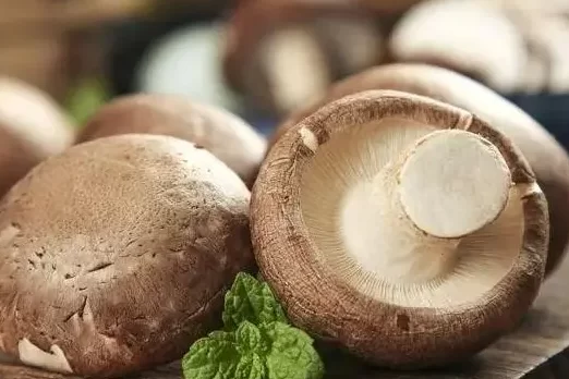 Which type of mushrooms can we eats dry or wet