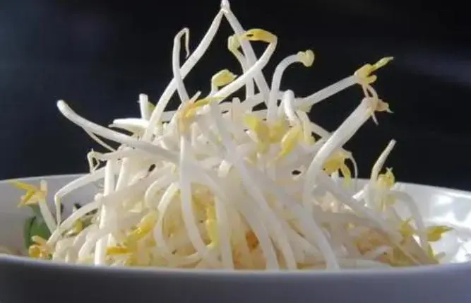 Bean sprouts are a kind of food with very high dietary fiber
