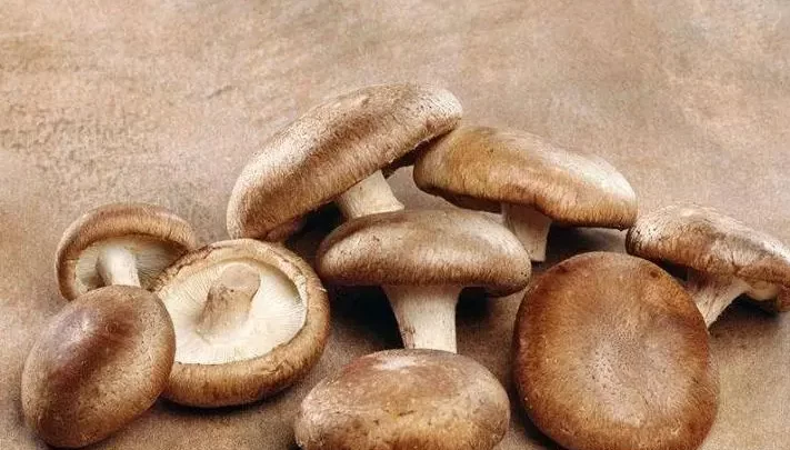 Is it better to buy shiitake mushrooms dry or wet
