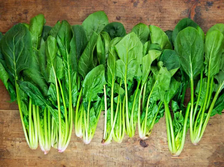 what is the benefits of eating spinach regularly