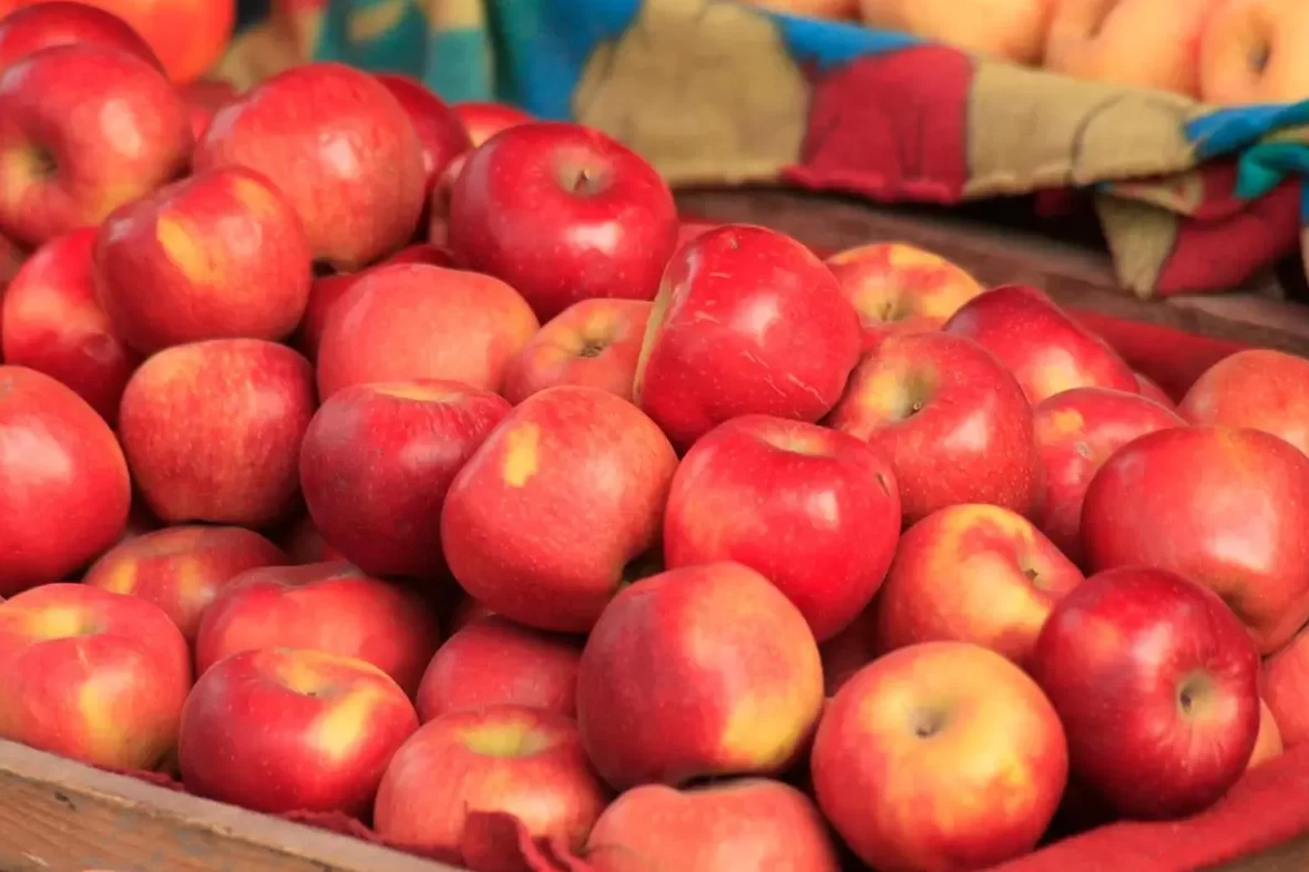 what is the benefits of eating apple regularly 