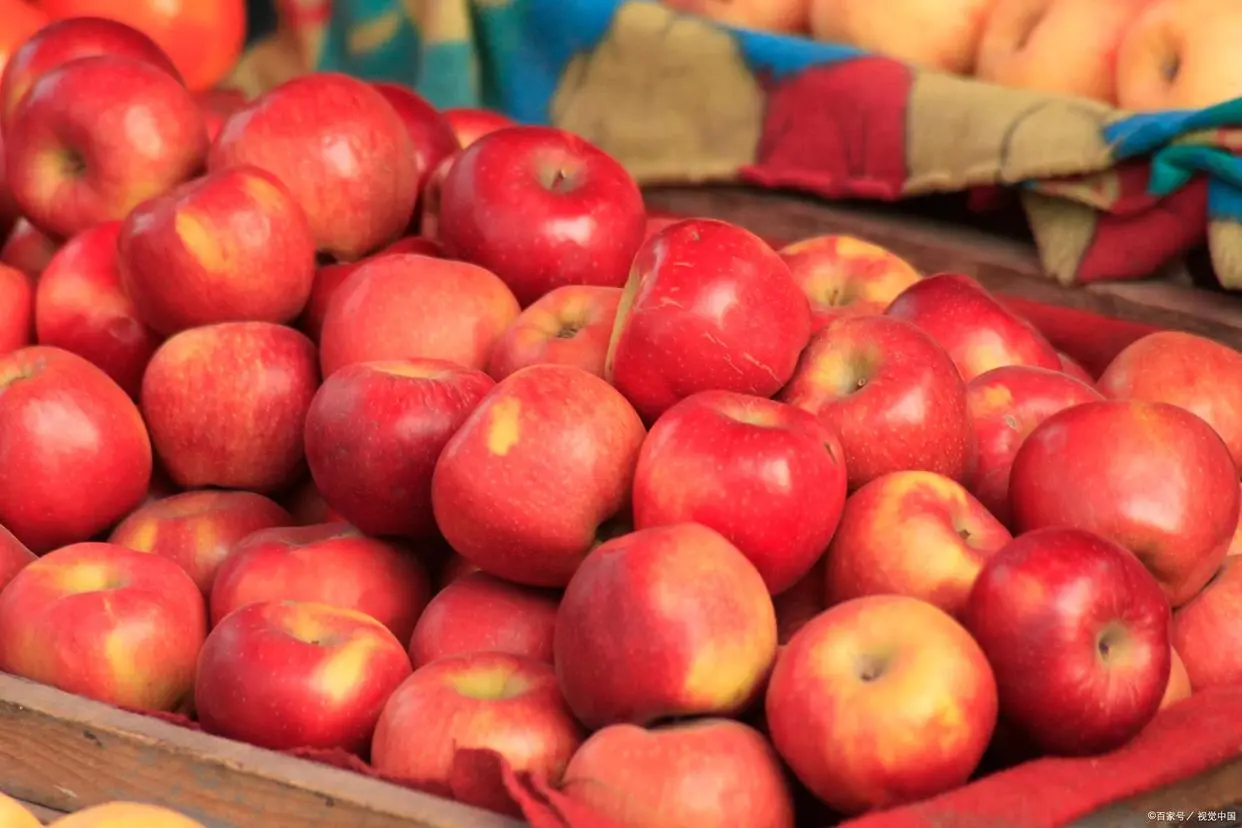 what is the benefits of eating apple regularly