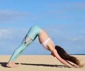If your four-poster and Upward Dog are "correct," then you should naturally get to the right place in Downward Dog as well