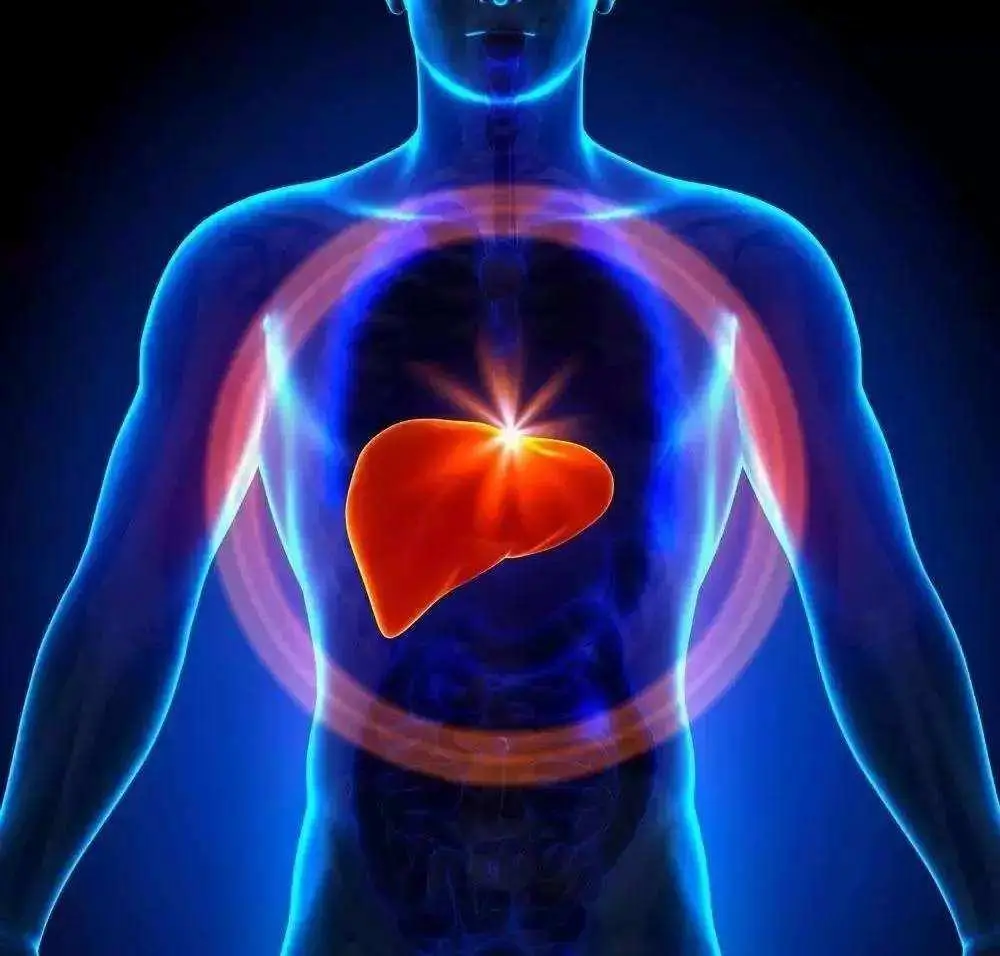 The presence of liver odor indicates that the liver function has been severely damaged and is a manifestation of critical illness