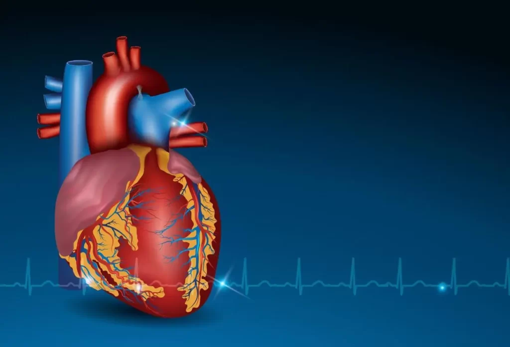What is the definition of fast and slow heartbeat?
