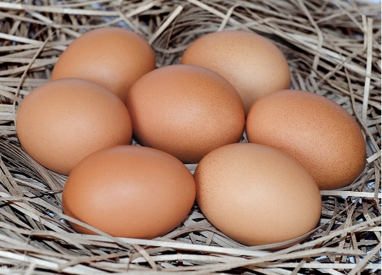 if you eat eggs regularly, you can also prevent breast cancer 