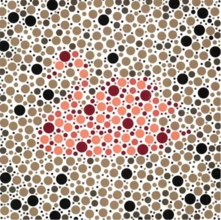 4 color blindness chart which will be tested during the physical examination