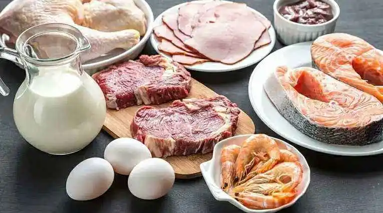 what is the side effect of eating high protein food 