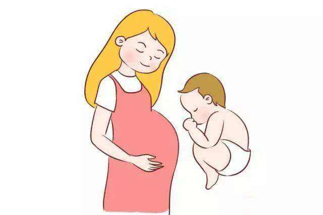 what is Prenatal education