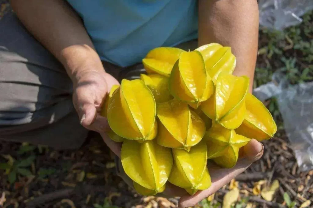  If you eat more of these fruits it may help you recover blood