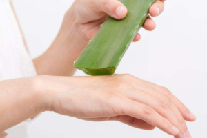 Read more about the article Does long-term application of aloe vera gel really make it whiter?