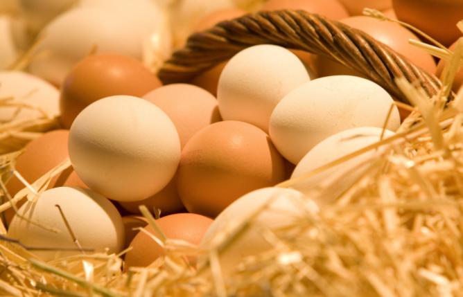 Benefits of eating eggs and what is the wrong way of eating eggs