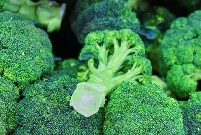 benefits of eating broccoli 