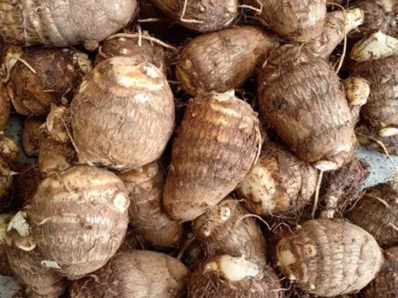Does taro have anti-cancer properties? why?