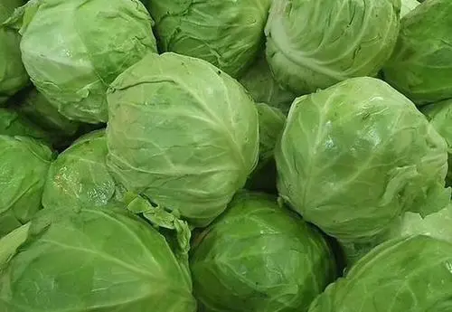 benefits of eating cabbage 