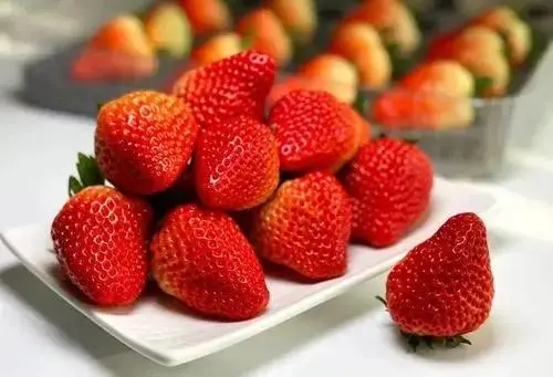 why strawberries cannot be eaten by children what is the truth please find out