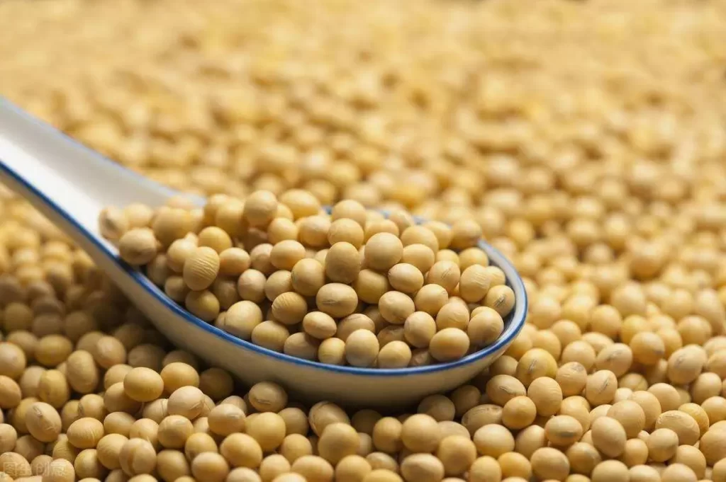 benefits of  eating soybeans during periods