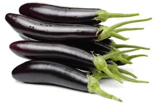 benefits of eating eggplants 