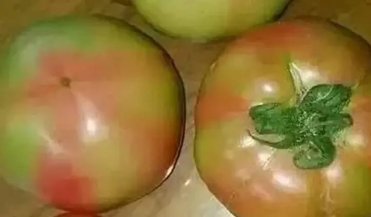 what is the benefits of eating tomatoes