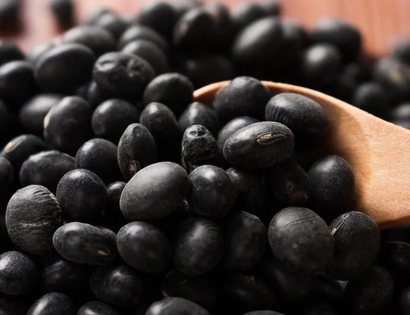 what is the benefits of eating blacks beans 