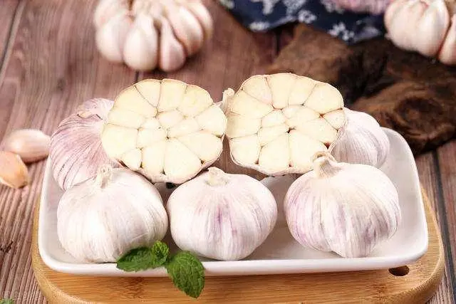 What are the health benefits of eating garlic regularly?