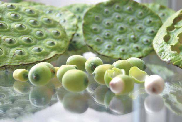 What the benefits of eating lotus seed