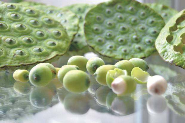 eating lotus seeds is best for cancer patients