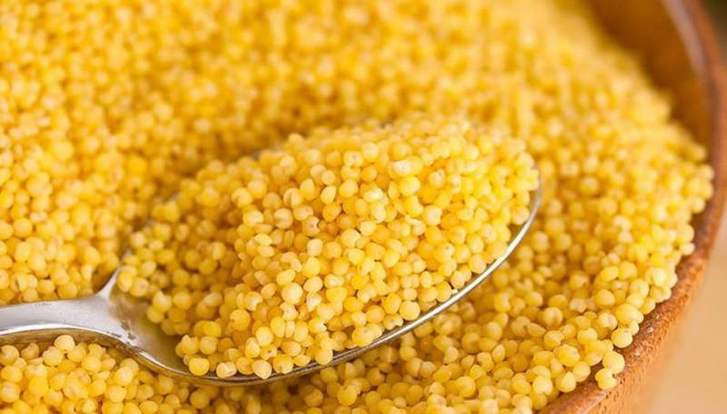 benefits of eating millet