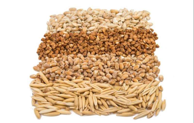  Why can you lose weight by eating whole grains