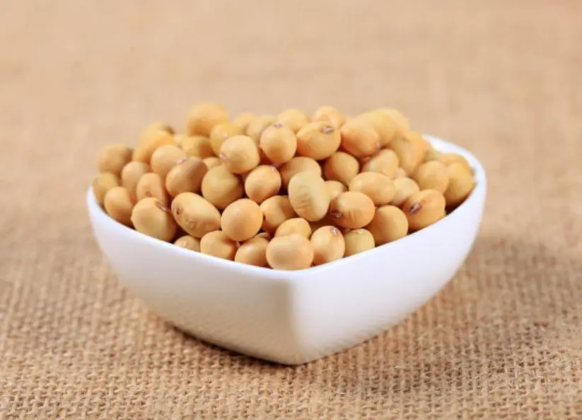 what is the benefits of eating soyabeans