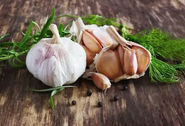 Eating raw garlic has many benefits not only sterilization but also cancer prevention?
