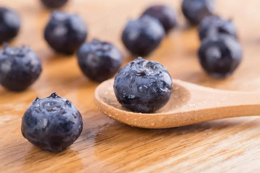 what is the benefits of eating blueberry 