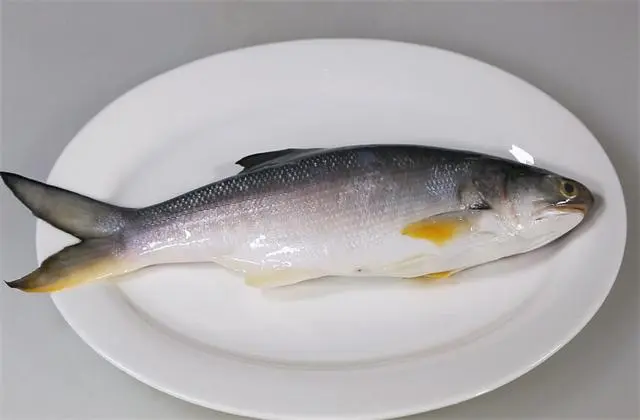 what  is the benefits of eating fish 