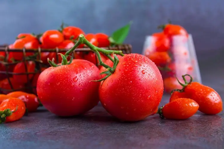 benefits of eating tomatoes