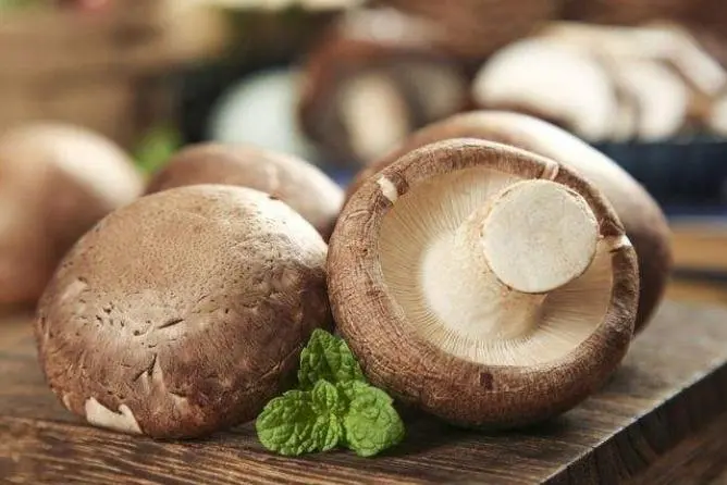benefits of eating shiitake  mushroom 