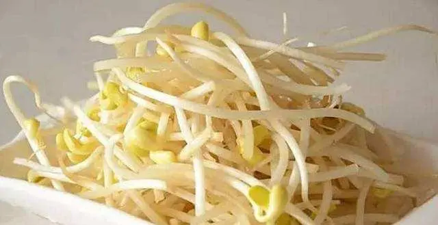 benefits of eating soybean sprouts 