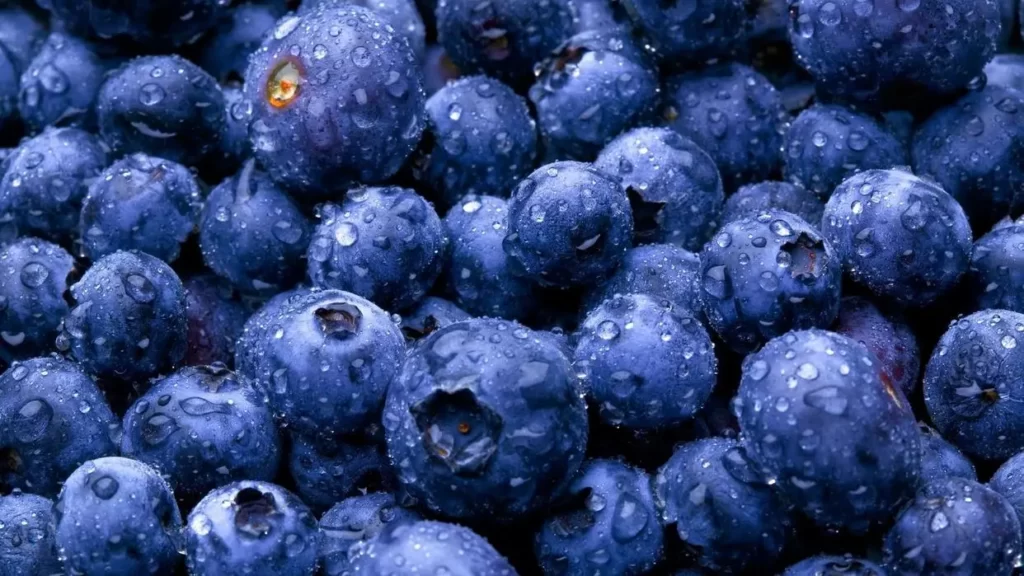 benefits of eating bilberry 