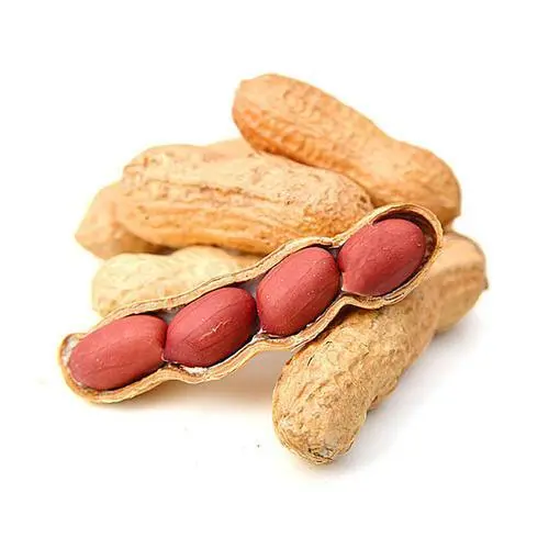  What is the benefits of eating 50 to 100 gram peanuts on an empty stomach 