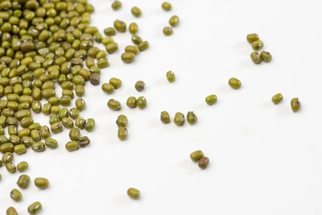 benefits of eating mung beans 