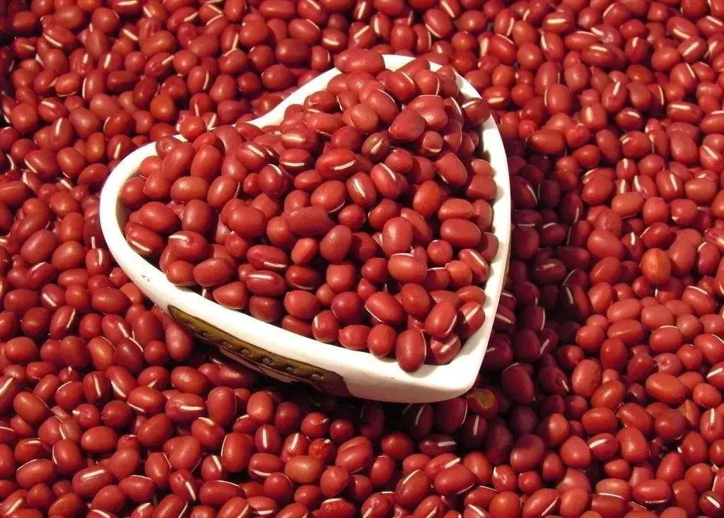 benefits of eating read beans 
